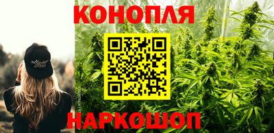 спиды Шелехов