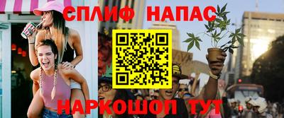 спиды Шелехов