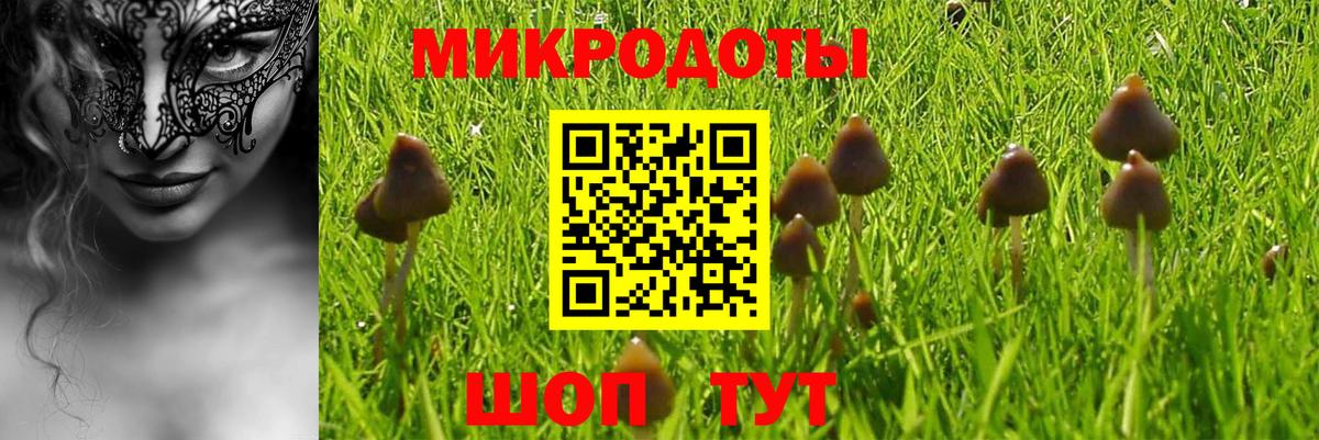 Псилоцибиновые грибы Psilocybe  Псилоцибиновые грибы Psilocybe  Вход с VPN  Армавир 